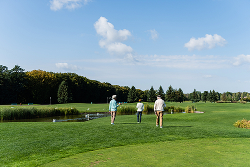 back view of senior multiethnic men with golf clubs walking near pond on green lawn