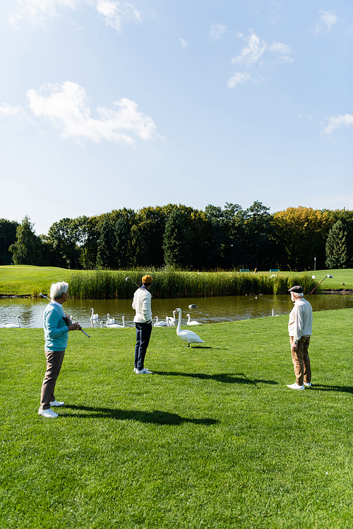 back view of senior multiethnic men with golf clubs standing on green lawn near swans