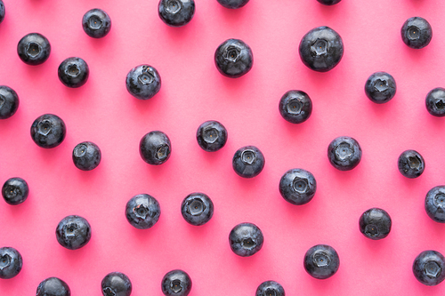 Flat lay with whole blueberries on pink background