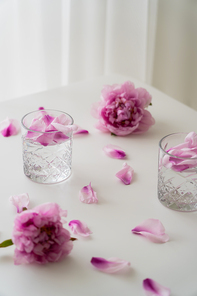 fresh peonies and petals near glasses with gin tonic on white tabletop and grey background