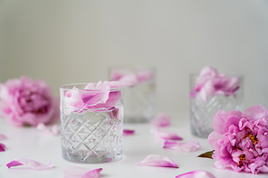 pink peonies and glasses with tonic and petals on white surface isolated on grey