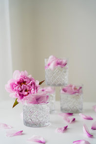 faceted glasses with gin tonic and peony petals on blurred grey background