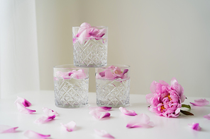glasses with gin tonic near pink peony and petals on white surface and grey background