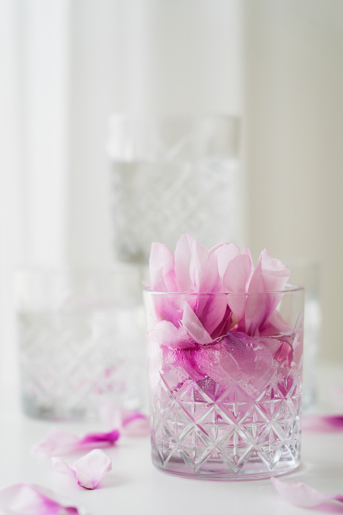 close up view of transparent glass with tonic and petals on blurred grey background
