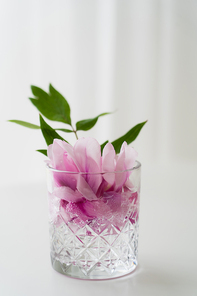crystal glass with pink floral petals and green leaves in tonic on white background