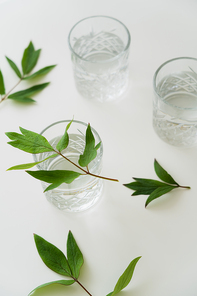 high angle view of facetted glasses with clear water near green leaves on white surface