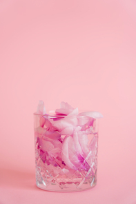 crystal glass with natural floral petals and tonic on pink background
