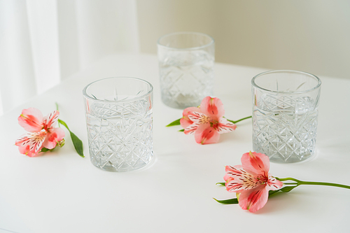 crystal glasses with water near pink flowers on white surface and grey background