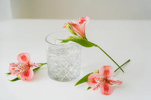 alstroemeria flowers near faceted glass with clean water on white surface and grey background