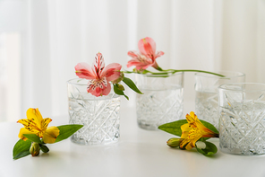 yellow and pink alstroemeria flowers near glasses with water on white tabletop