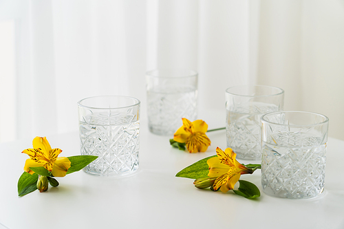 yellow alstroemeria flowers near faceted glasses with clear water on white background