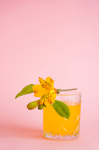 yellow peruvian lily on glass with fresh citrus tonic on pink background