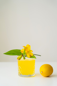 yellow peruvian lily and whole lemon near glass of citrus tonic on white surface isolated on grey
