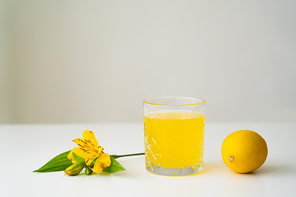 glass of citrus juice near whole lemon and yellow tropical flower on white surface isolated on grey