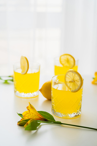 yellow alstroemeria flower near glasses with citrus juice and sliced lemons on white background