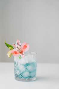 pink alstroemeria flower in glass with iced tonic on white surface isolated on grey
