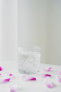 floral petals near glass with fresh water on grey background with copy space