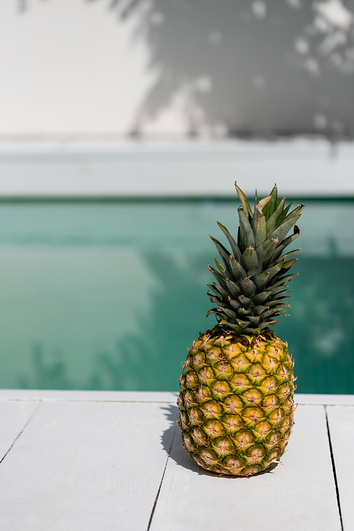 tropical and sweet pineapple near blue water in swimming pool