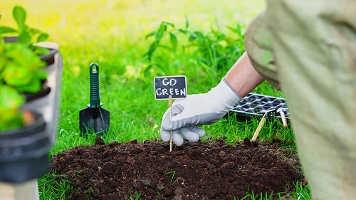 Cropped view of gardener putting board with go green lettering in soil near tools and plants in garden