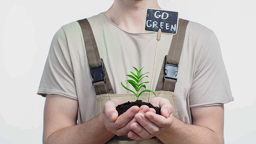 Cropped view of gardener holding plant and board with go green lettering on grey background