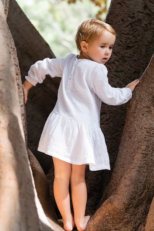 Toddler girl in white dress standing on tree outdoors