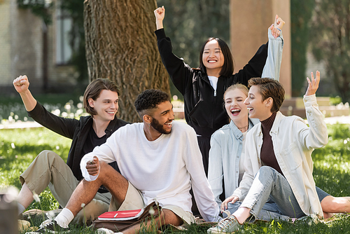 Excited interracial students showing yes gesture on grass in park