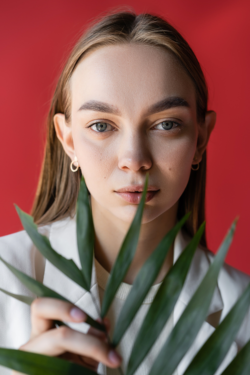 portrait of charming woman with natural makeup near green plant isolated on crimson