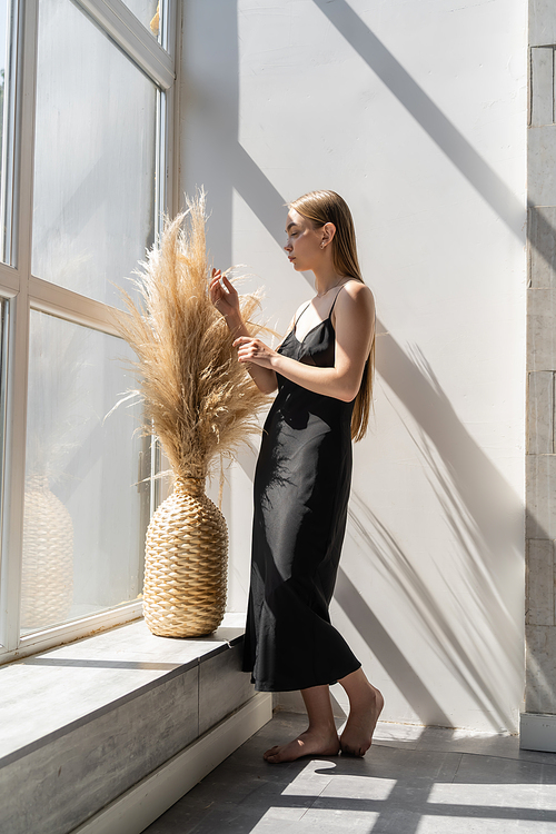 full length of barefoot woman in black dress near window and wicker vase with spikelets