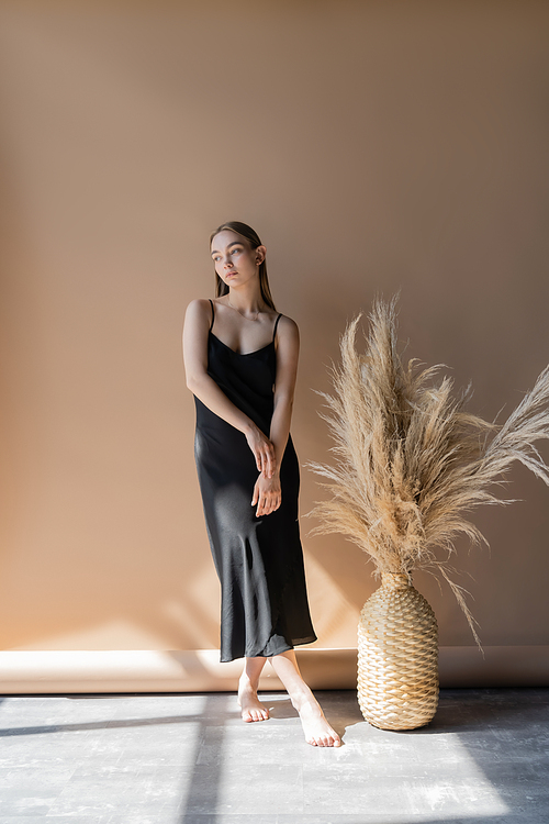 full length of barefoot woman in black strap dress near wicker vase with spikelets on beige background