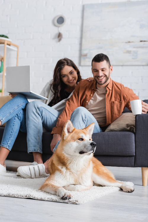 smiling blurred couple with laptop and cup sitting on couch and looking at akita inu dog