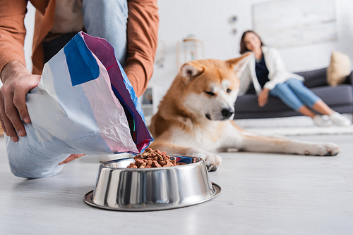 cropped view of man adding pet food in bowl near akita inu dog