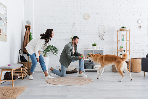bearded man holding rubber toy and playing with akita inu dog near happy girlfriend