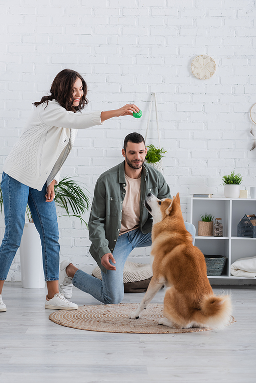 happy woman holding rubber toy and playing with akita inu dog near boyfriend