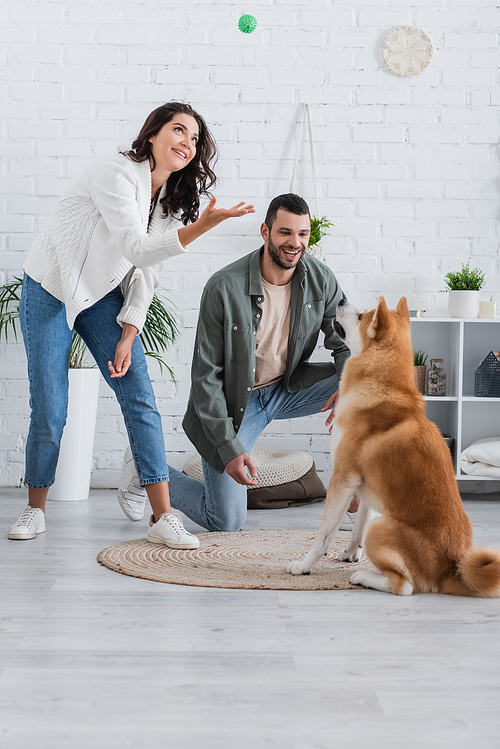 happy woman throwing rubber toy while playing with akita inu dog near smiling boyfriend