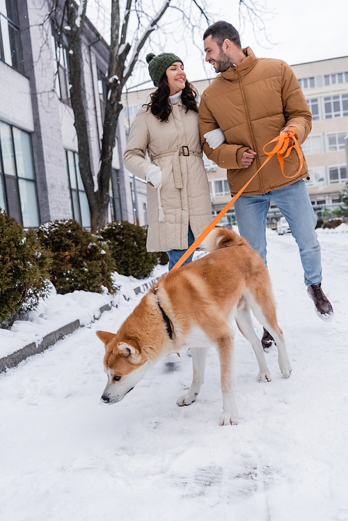 happy man holding leash while walking together with girlfriend and akita inu dog