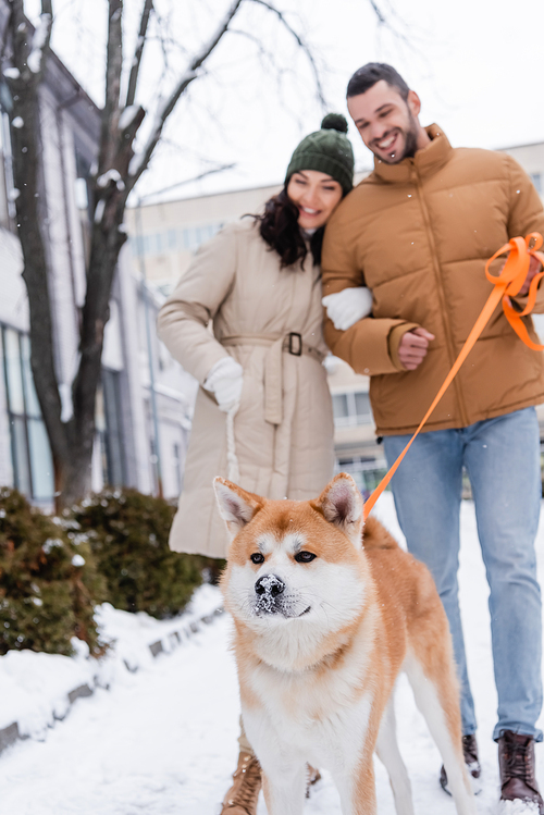 blurred and happy man holding leash while walking with girlfriend and akita inu dog
