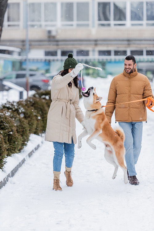 cheerful man holding leash while walking near girlfriend playing with akita inu dog