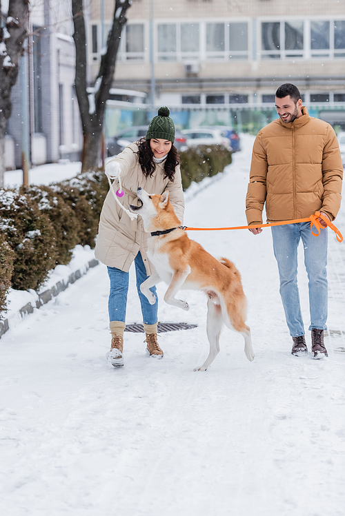 positive man holding leash while walking near girlfriend playing with akita inu dog
