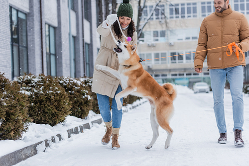 happy man holding leash while walking near joyful girlfriend playing with akita inu dog