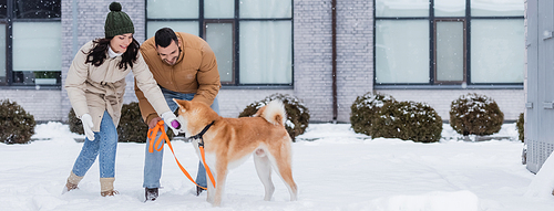 happy couple playing with akita inu dog in winter, banner