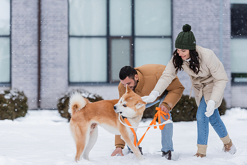 cheerful young couple playing with akita inu dog in winter
