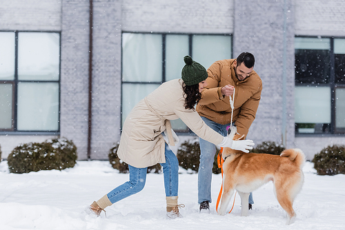 joyful young couple playing with akita inu dog in winter