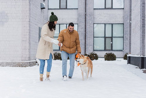 happy man holding leash while walking near girlfriend in hat and akita inu dog in winter