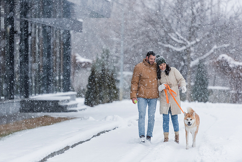 happy woman holding leash while walking together with boyfriend and akita inu dog under falling snow