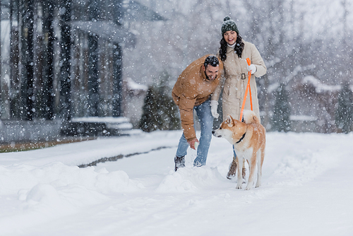 cheerful woman holding leash while walking together with boyfriend and akita inu dog under falling snow
