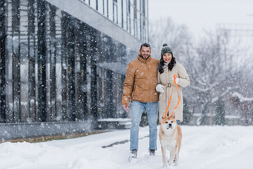 smiling woman holding leash while walking together with boyfriend and akita inu dog under falling snow