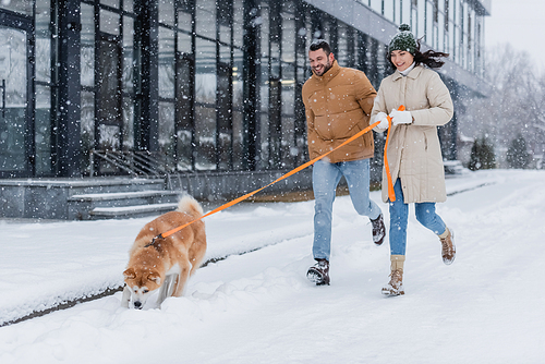 happy woman holding leash while running together with boyfriend and akita inu dog under falling snow