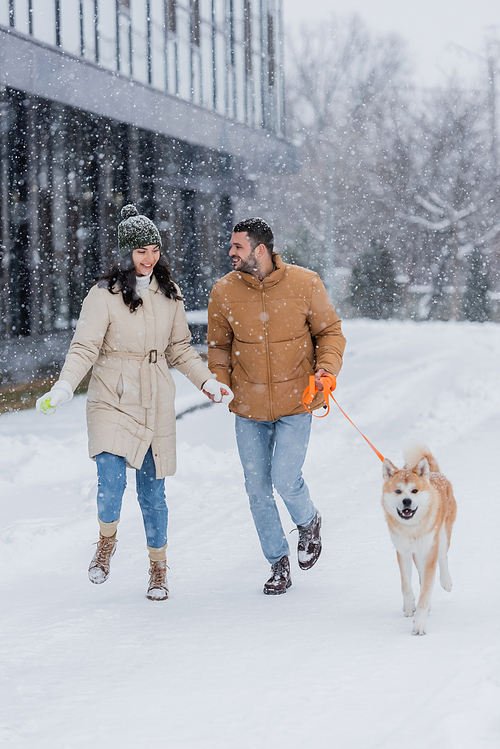 joyful man holding leash while walking together with happy girlfriend and akita inu dog under falling snow