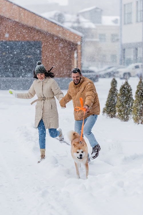 happy man holding leash while running together with girlfriend and akita inu dog under falling snow