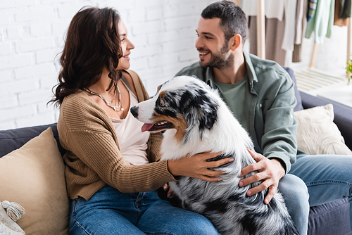 happy young couple cuddling australian shepherd dog and looking at each other at home
